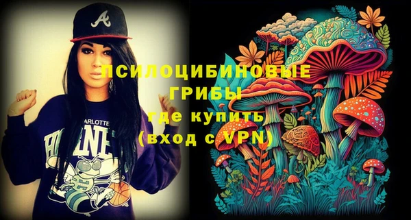 спайс Богородицк