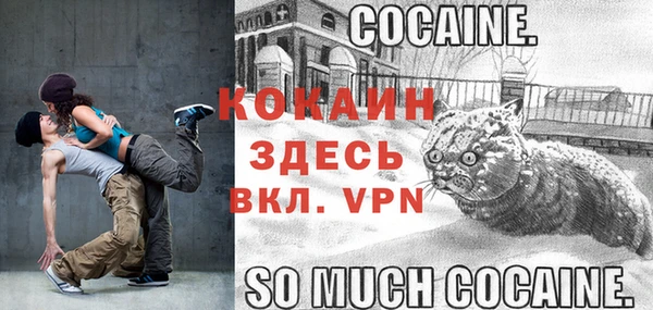 ешки Богданович