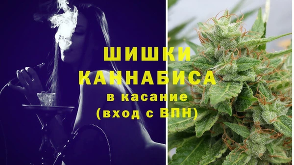 спайс Богородицк