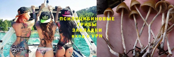 a pvp Богородск