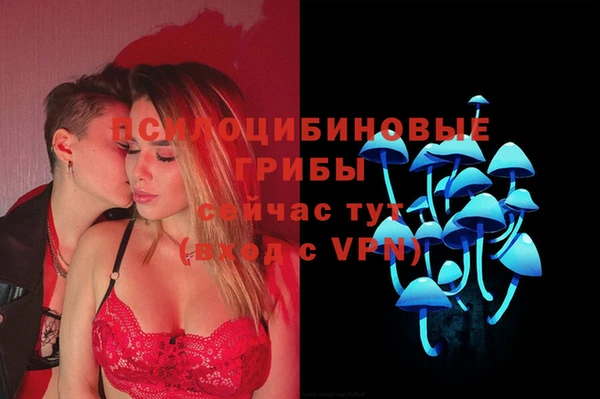 ешки Богданович