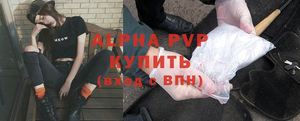 ешки Богданович
