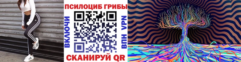 Псилоцибиновые грибы Magic Shrooms kraken зеркало Завитинск продажа наркотиков